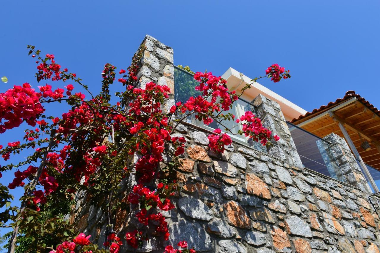 Melina Skiathos Kolios Ngoại thất bức ảnh
