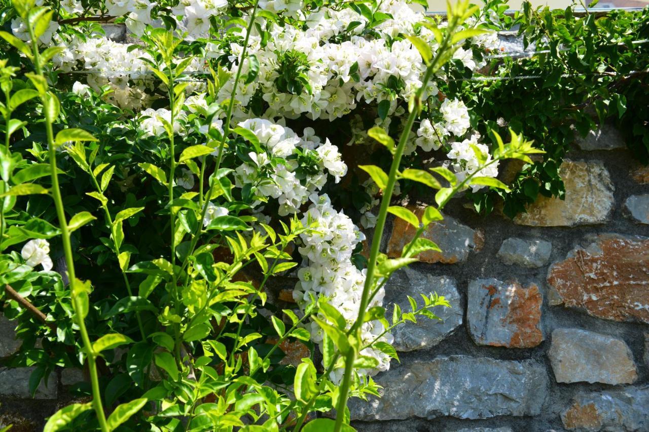 Melina Skiathos Kolios Ngoại thất bức ảnh